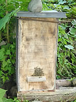 古式養蜂重箱式