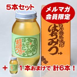 【メルマガ会員限定】鈴木の蜂蜜(1.2kg)【5本セット+1本】