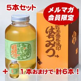 【メルマガ会員限定】鈴木の蜂蜜(2.4kg)【5本セット+1本】